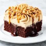 chocolate peanut butter poke cake - featured image