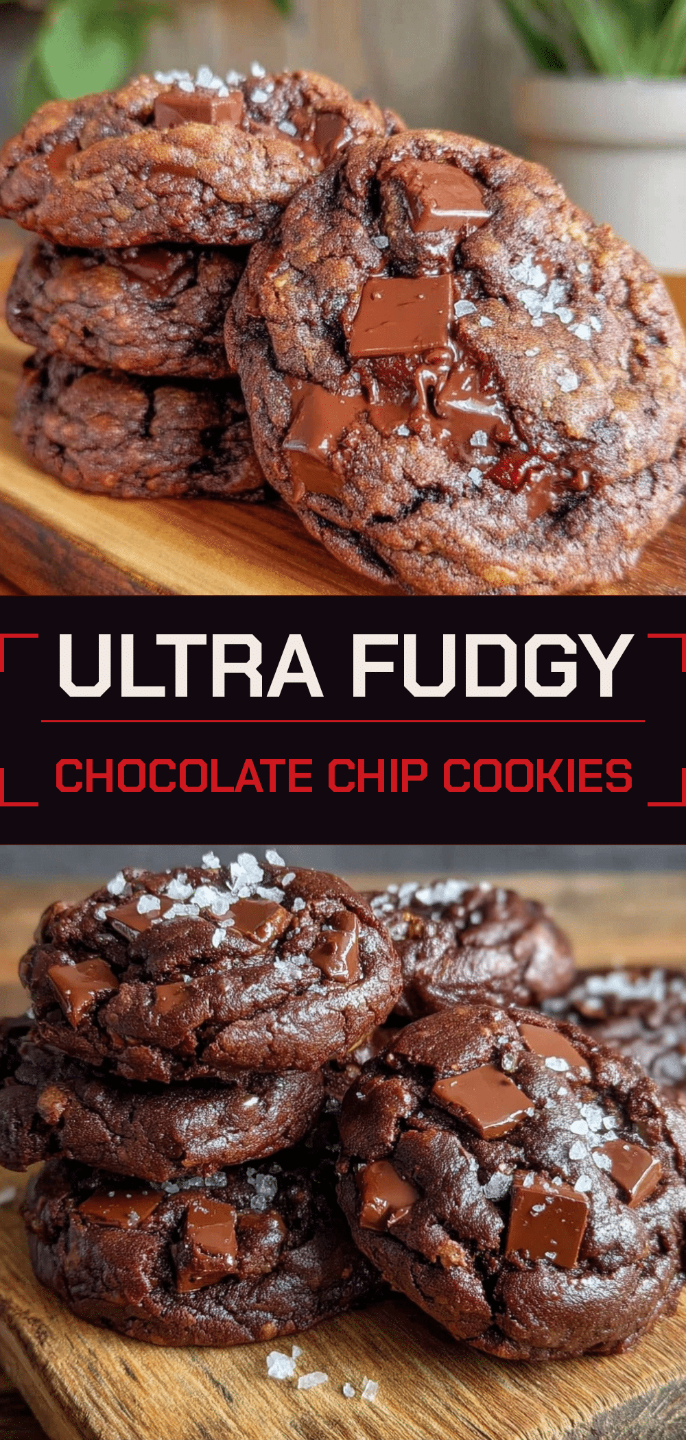 Ultra Fudgy One-Bowl Chocolate Chip Cookies: 5 Ingredients 5 one-bowl chocolate chip cookies recipe
