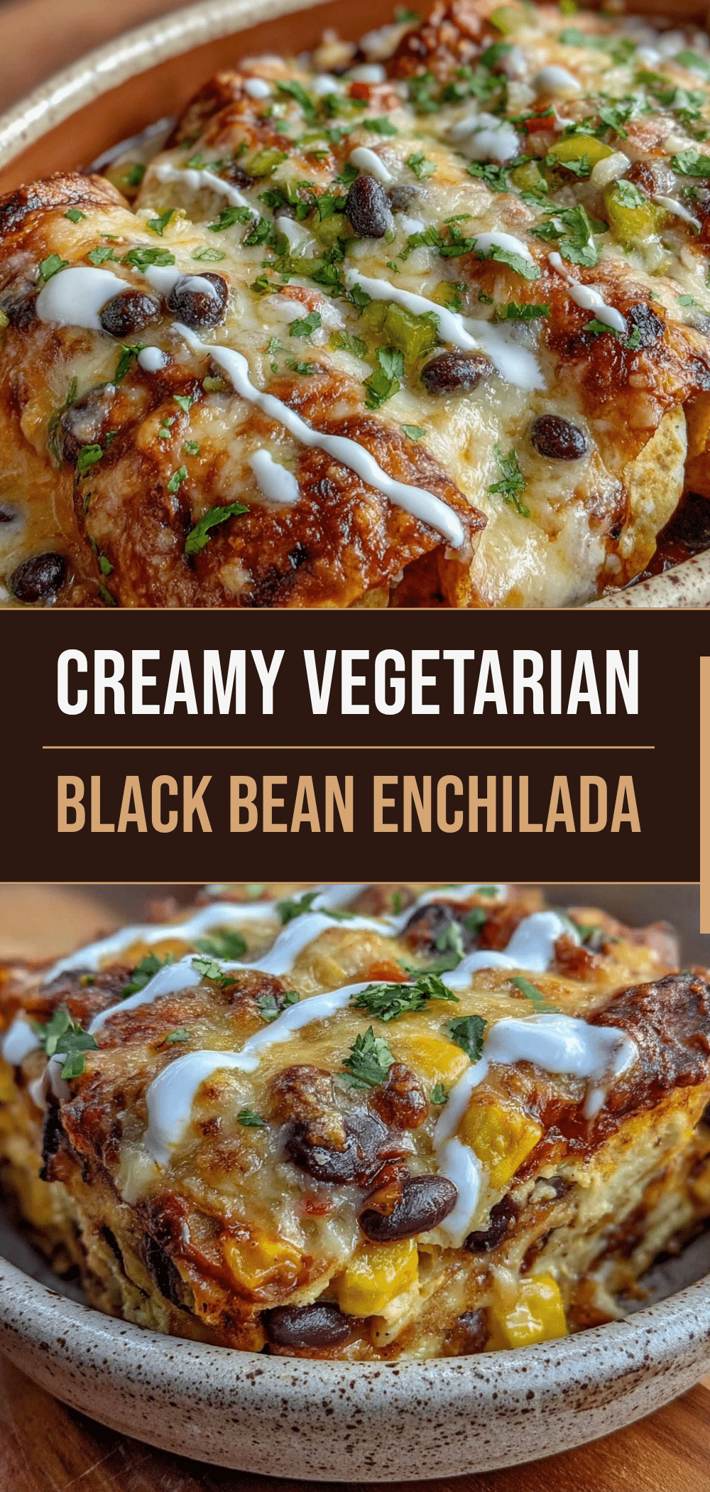 Vegetarian Black Bean Enchilada Casserole: Best Chipotle Dip 5 vegetarian black bean enchilada casserole recipe